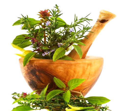 pestle-and-herbs